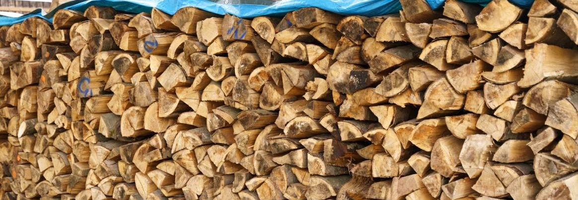 Gestapeltes Brennholz, das mit einer blauen Plane abgedeckt ist.